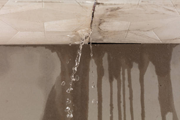 Professional Sewage Cleanup technician working in Holland, TX